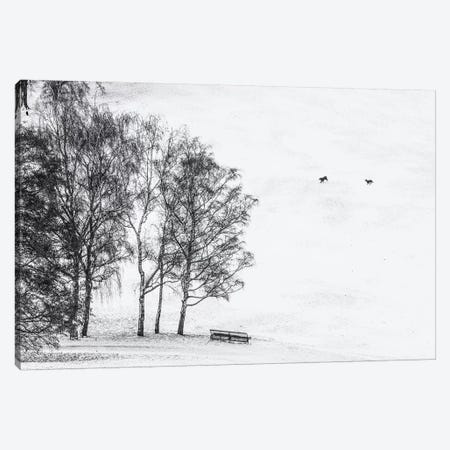 Olympia park in winter, Munich, Bavaria, Germany Canvas Print #PIM15620} by Panoramic Images Canvas Artwork