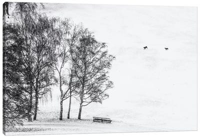 Olympia park in winter, Munich, Bavaria, Germany Canvas Art Print