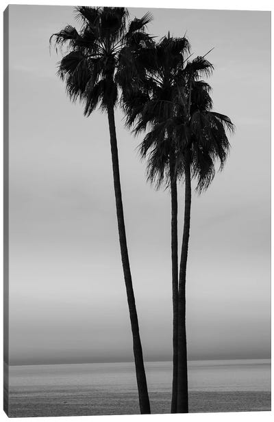 Palm trees at sunset on Santa Barbara beach, California, USA Canvas Art Print