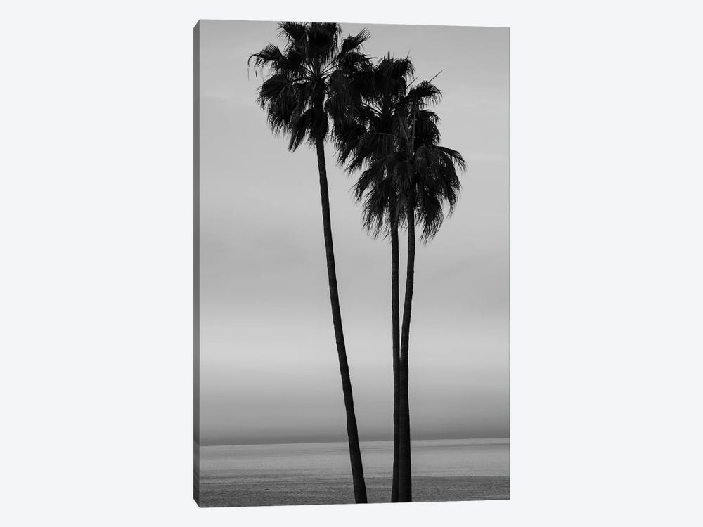 Palm trees at sunset on Santa Barbara beach, California, USA by Panoramic Images 1-piece Canvas Artwork