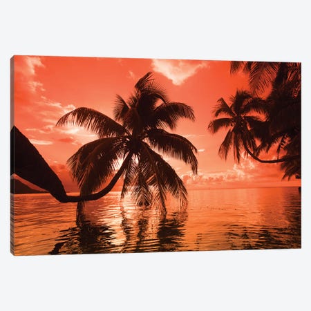 Palm trees at sunset, Moorea, Tahiti, French Polynesia Canvas Print #PIM15629} by Panoramic Images Canvas Art