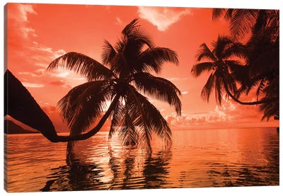 Palm trees at sunset, Moorea, Tahiti, French Polynesia Canvas Art Print