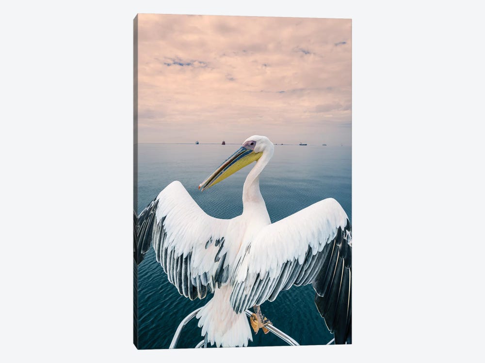 Pelican in Walvis Bay, Namibia, Africa by Panoramic Images 1-piece Canvas Artwork