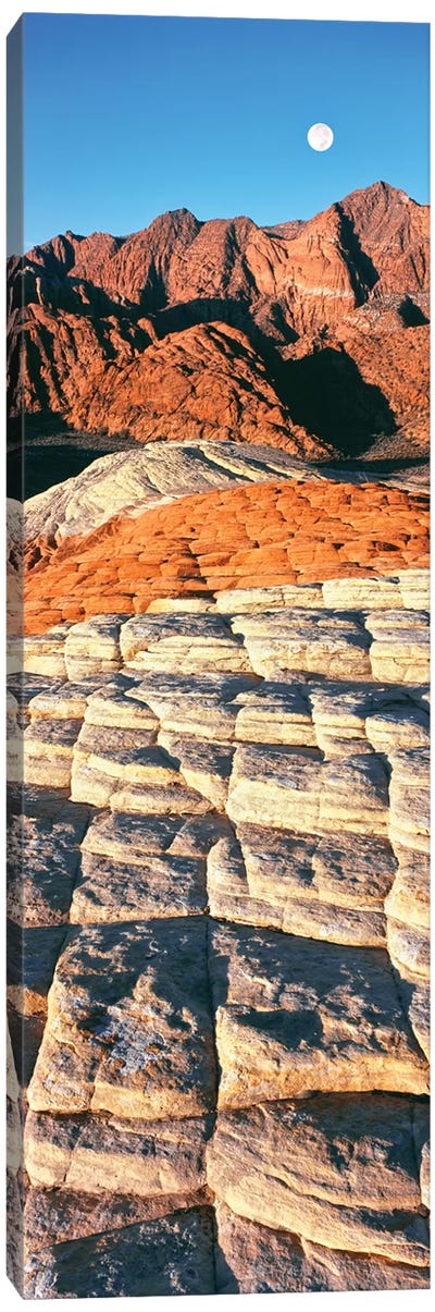 Petrified dunes, Snow Canyon State Park, Utah, USA Canvas Art Print - Utah Art