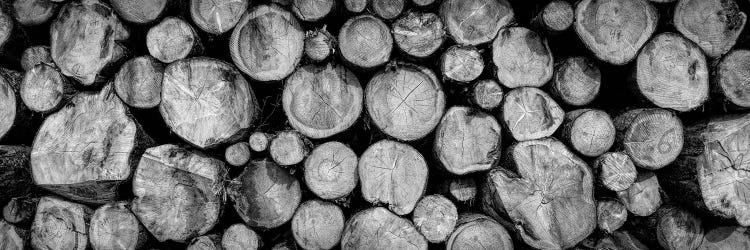 Pile of tree trunks in close-up, Freudenstadt, Baden Wurttemberg, Germany