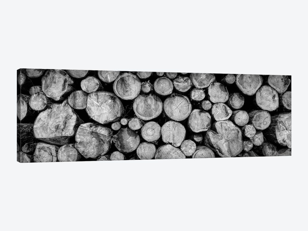 Pile of tree trunks in close-up, Freudenstadt, Baden Wurttemberg, Germany by Panoramic Images 1-piece Canvas Art