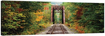 Railroad track passing through a forest, White Mountain National Forest, New Hampshire, USA Canvas Art Print - Railroads