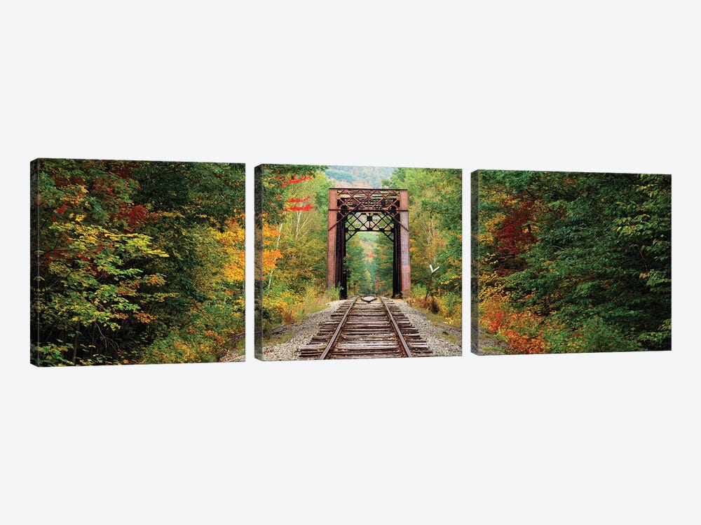 Railroad track passing through a forest, White Mountain National Forest, New Hampshire, USA by Panoramic Images 3-piece Canvas Artwork