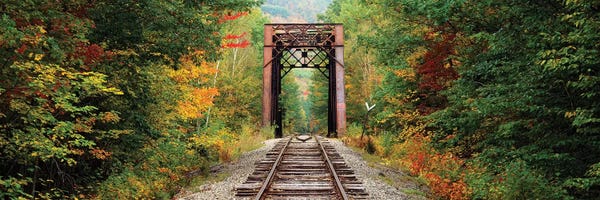 New Hampshire: Railroad track passing through a forest, White Mountain National Forest, New Hampshire, USA by Panoramic Images