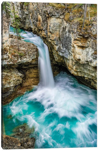 Reflection of mountain on water, Beauty Creek, Stanley Falls, Jasper National Park, Alberta, Canada Canvas Art Print - Waterfall Art