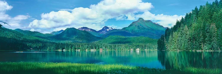 Reflection of trees in lake, Juneau Lake, Alaska, USA