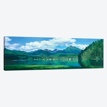 Reflection of trees in lake, Juneau Lake, Alaska, USA Canvas Print #PIM15687} by Panoramic Images Art Print