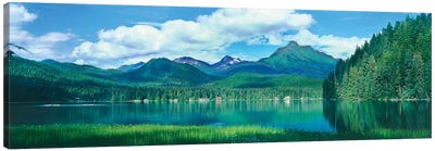 Reflection of trees in lake, Juneau Lake, Alaska, USA Canvas Art Print - Alaska Art