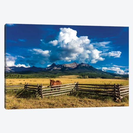 A Horse Overlooking A Worn Fence Near The San Juan Mountains, Southwestern Colorado, USA Canvas Print #PIM15689} by Panoramic Images Canvas Art