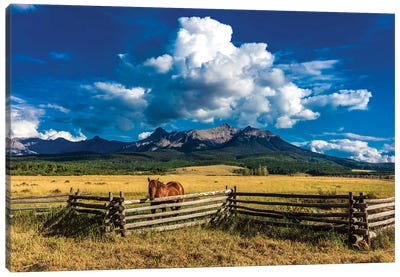A Horse Overlooking A Worn Fence Near The San Juan Mountains, Southwestern Colorado, USA Canvas Art Print - Colorado Art
