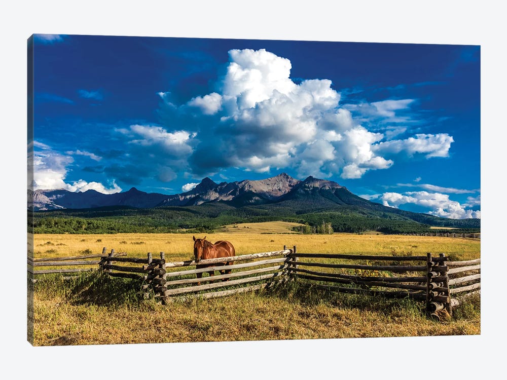 A Horse Overlooking A Worn Fence Near The San Juan Mountains, Southwestern Colorado, USA by Panoramic Images 1-piece Art Print