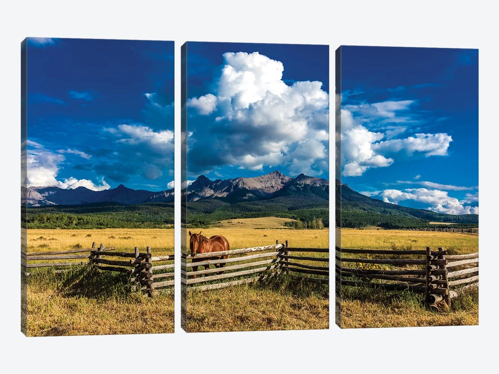 A Horse Overlooking A Worn Fence Near The San Juan Mountains, Southwestern Colorado, USA by Panoramic Images 3-piece Art Print
