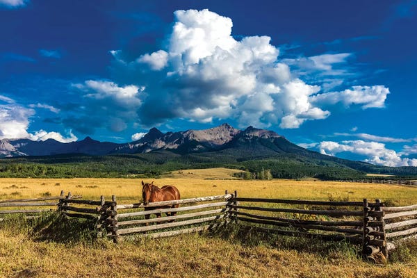 Colorado: A Horse Overlooking A Worn Fence Near The San Juan Mountains, Southwestern Colorado, USA by Panoramic Images
