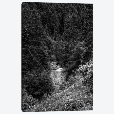 Rissbach river in Karwendel Mountains, Vorderriss, Bavaria, Germany Canvas Print #PIM15691} by Panoramic Images Canvas Print