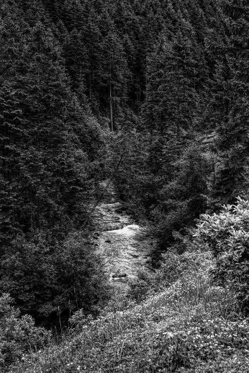 Rissbach river in Karwendel Mountains, Vorderriss, Bavaria, Germany