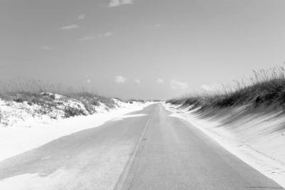Road passing through sand dunes, Perdido Key Area, Gulf Islands National Seashore, Pensacola, Florida, USA by Panoramic Images framed canvas print
