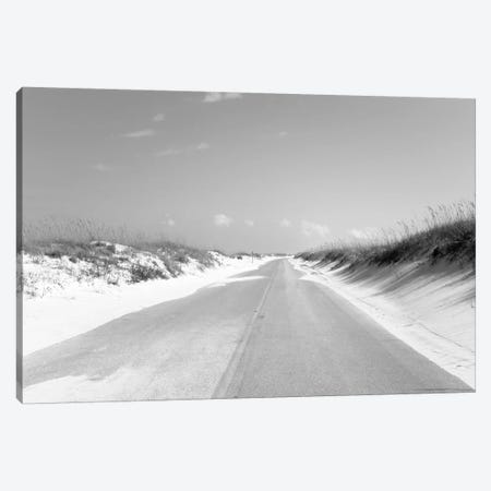 Road passing through sand dunes, Perdido Key Area, Gulf Islands National Seashore, Pensacola, Florida, USA Canvas Print #PIM15693} by Panoramic Images Art Print