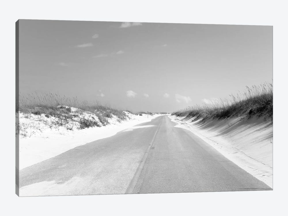 Road passing through sand dunes, Perdido Key Area, Gulf Islands National Seashore, Pensacola, Florida, USA by Panoramic Images 1-piece Canvas Art
