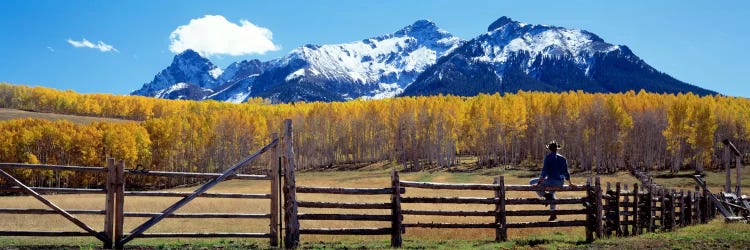 San Juan Mountains, Ridgeway, Colorado, USA by Panoramic Images wall art