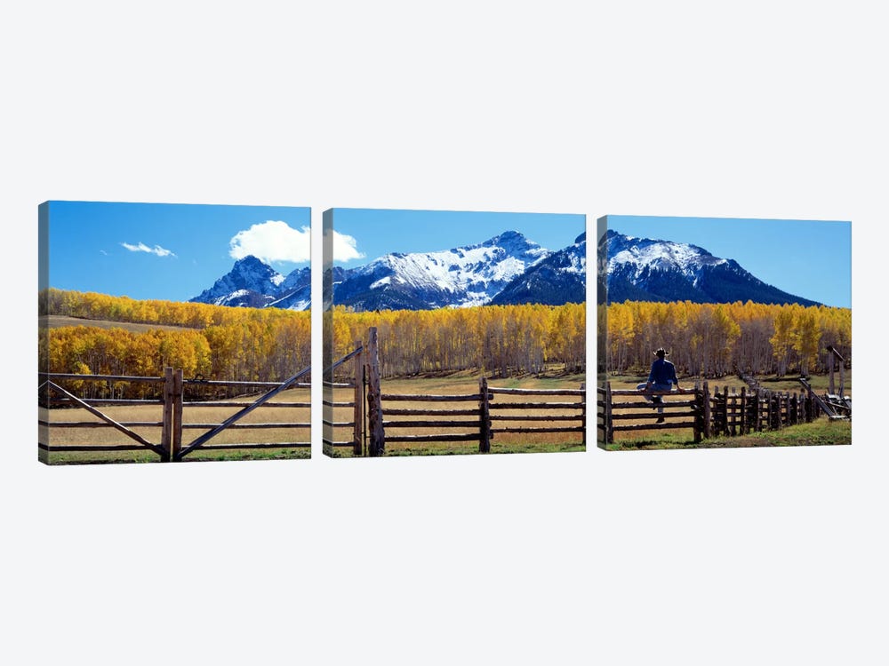 San Juan Mountains, Ridgeway, Colorado, USA by Panoramic Images 3-piece Canvas Art