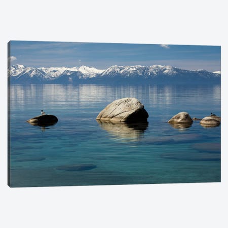 Rocks in a lake with mountain range in the background, Lake Tahoe, California, USA Canvas Print #PIM15700} by Panoramic Images Art Print