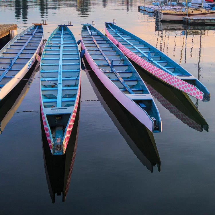 Rowboats moored at Lake Merritt, Oakland, Alameda County, California, USA