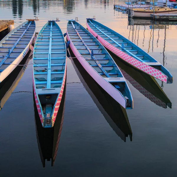 Oakland: Rowboats moored at Lake Merritt, Oakland, Alameda County, California, USA by Panoramic Images