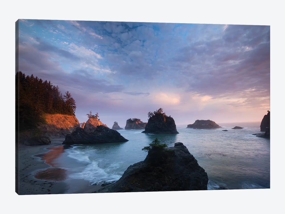 Rrock Formations, Cannon Beach, Samuel H. Boardman State Scenic Corridor, Oregon, USA by Panoramic Images 1-piece Canvas Art