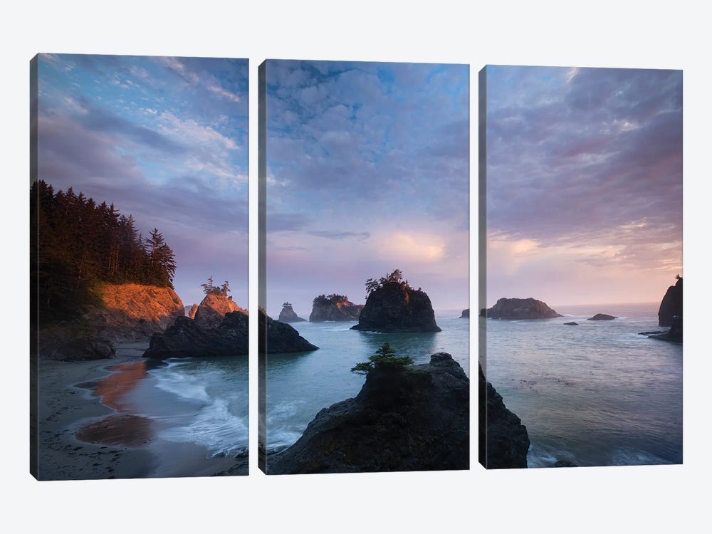 Rrock Formations, Cannon Beach, Samuel H. Boardman State Scenic Corridor, Oregon, USA by Panoramic Images 3-piece Canvas Art
