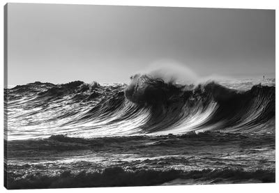 Scenic view of waves, Cape Disappointment, Oregon, USA Canvas Art Print