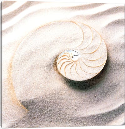 Shell spiraling into wavy sand pattern Canvas Art Print - Sea Shell Art