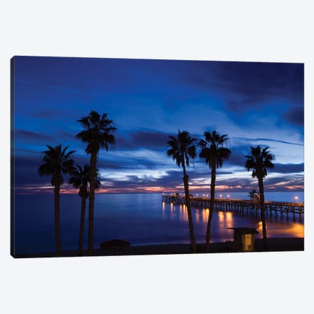 Silhouette of palm trees on the beach, San Clemente, Orange County, California, USA Canvas Print #PIM15741} by Panoramic Images Canvas Art Print