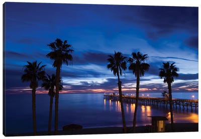 Silhouette of palm trees on the beach, San Clemente, Orange County, California, USA Canvas Art Print - Tropical Beach Art