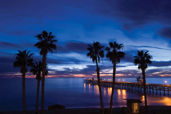 Tropical Beaches: Silhouette of palm trees on the beach, San Clemente, Orange County, California, USA by Panoramic Images