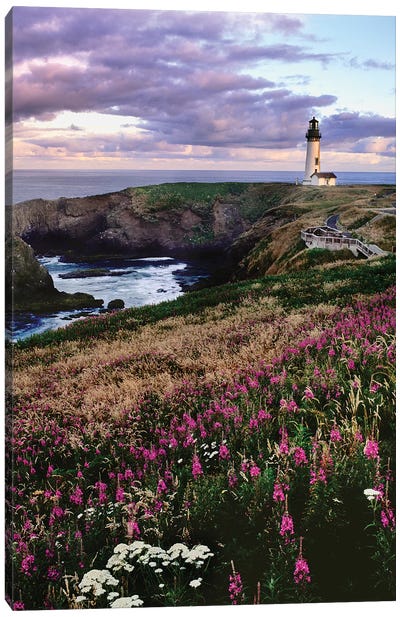 Silhouette of Yaquina Head Lighthouse, Yaquina Head, Lincoln County, Oregon, USA Canvas Art Print - Wildflowers