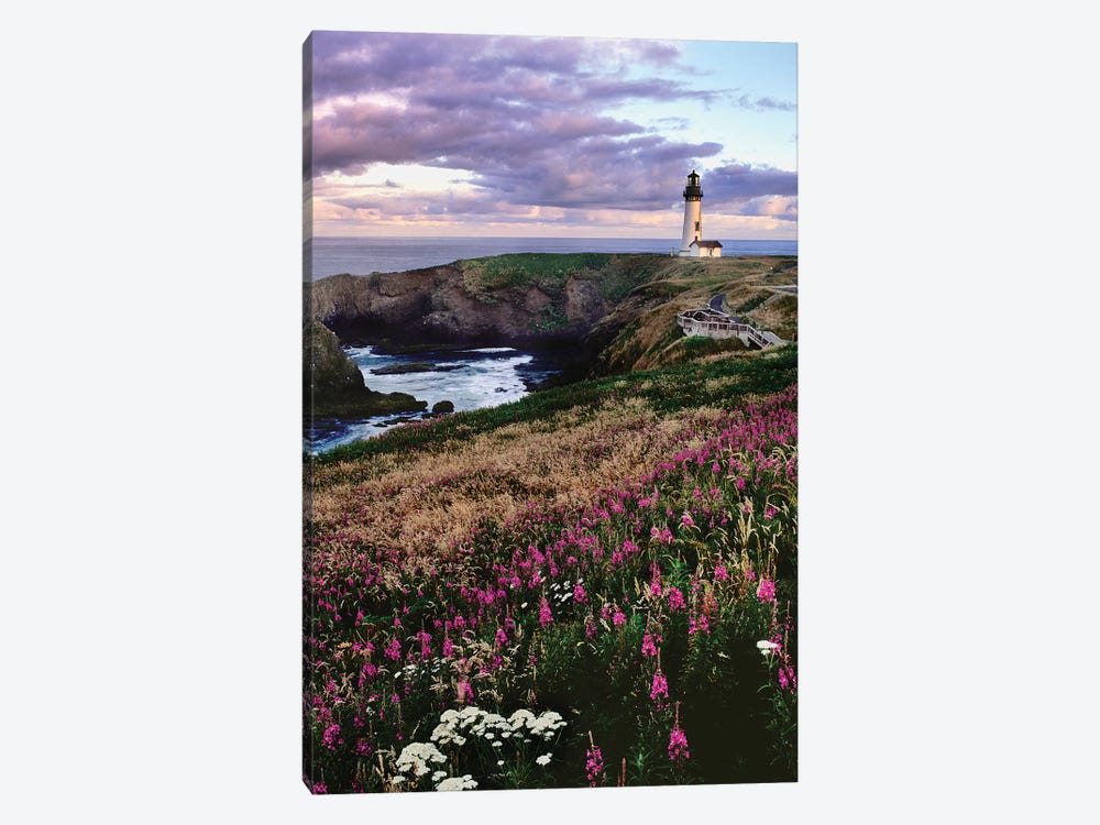 Silhouette of Yaquina Head Lighthouse, Yaquina Head, Lincoln County, Oregon, USA by Panoramic Images 1-piece Canvas Print