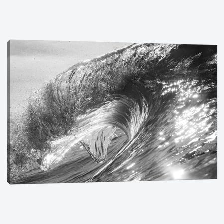 Spectacular snapshot of sea wave, California, USA Canvas Print #PIM15756} by Panoramic Images Canvas Art Print