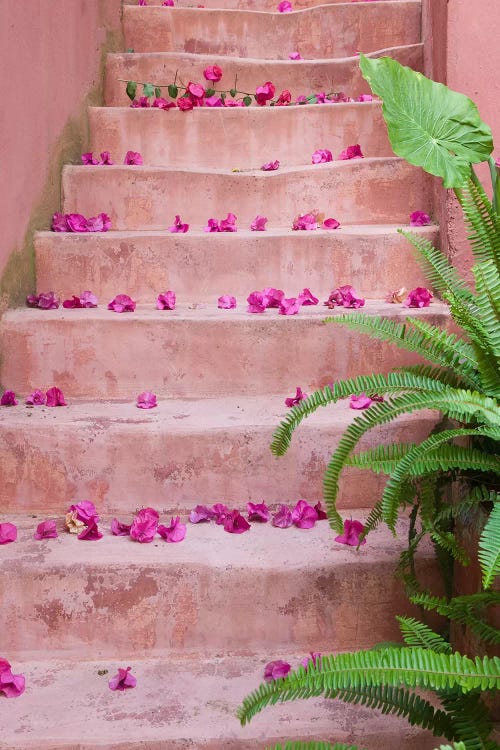 Spring flowers on staircase, Chania, Crete, Greece