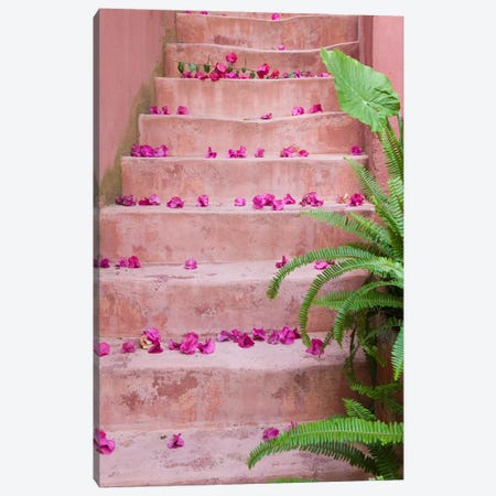 Spring flowers on staircase, Chania, Crete, Greece Canvas Print #PIM15760} by Panoramic Images Canvas Print