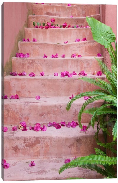 Spring flowers on staircase, Chania, Crete, Greece Canvas Art Print