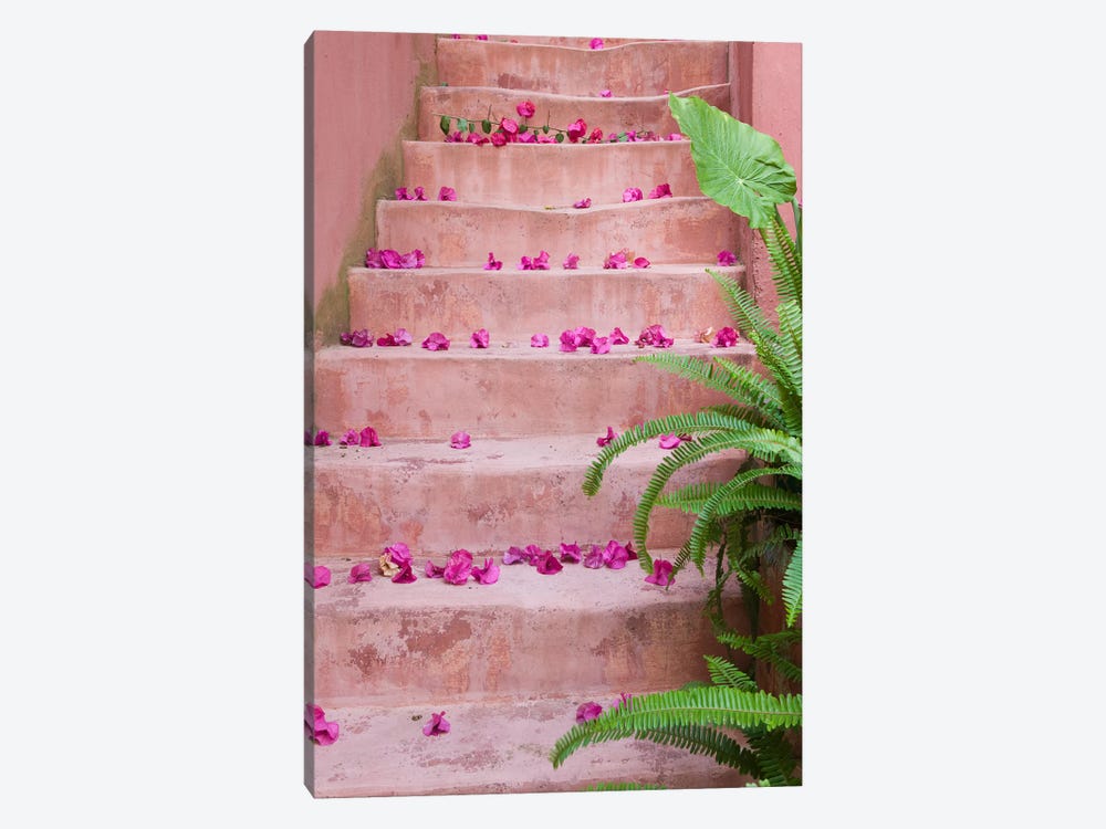 Spring flowers on staircase, Chania, Crete, Greece by Panoramic Images 1-piece Canvas Art Print