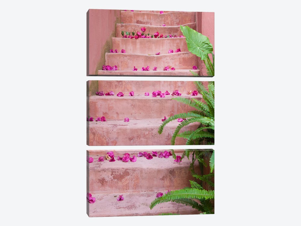 Spring flowers on staircase, Chania, Crete, Greece by Panoramic Images 3-piece Art Print