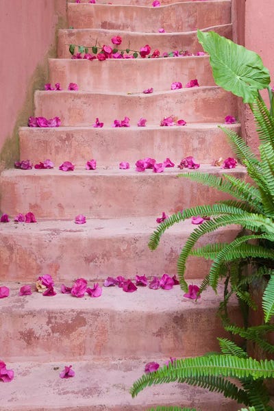 Spring flowers on staircase, Chania, Crete, Greece