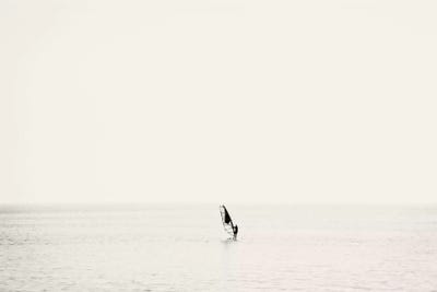 Surfer in the bay, San Francisco Bay, Alameda, California, USA by Panoramic Images canvas print