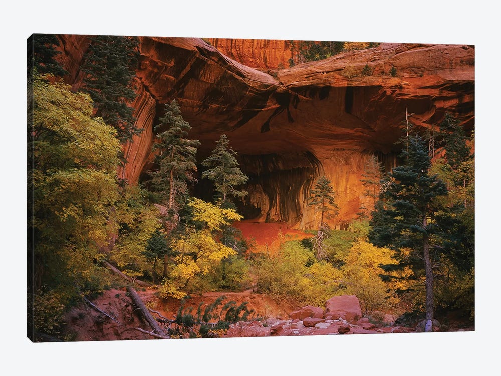 Trees in front of a cave, Zion National Park, Utah, USA by Panoramic Images 1-piece Art Print